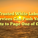 How Trusted White Label SEO Services Can Push Your Website to Page One of Google