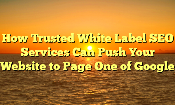 How Trusted White Label SEO Services Can Push Your Website to Page One of Google