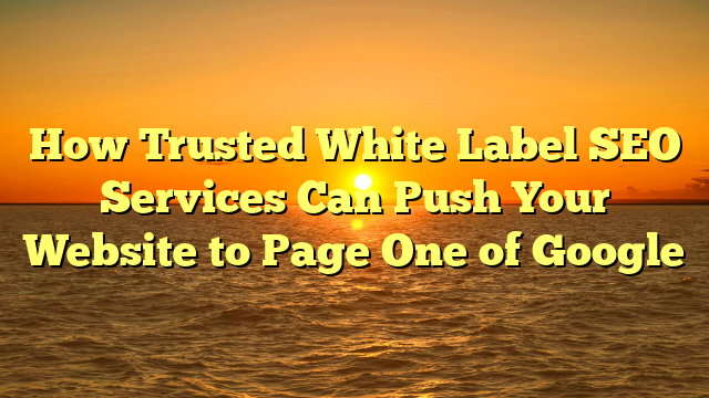 How Trusted White Label SEO Services Can Push Your Website to Page One of Google