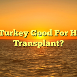Is Turkey Good For Hair Transplant?