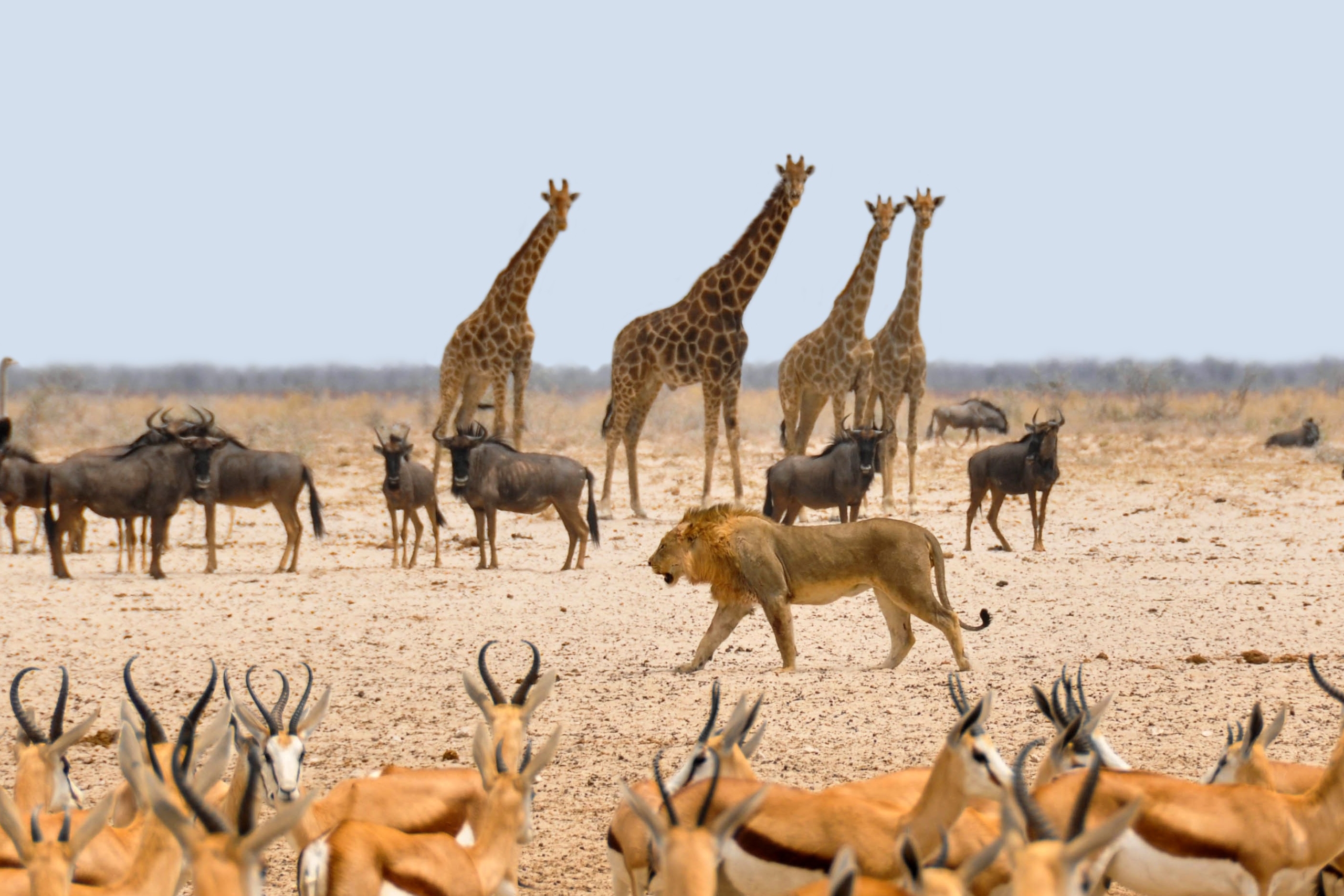 Staying Safe During Hot Seasons in Tropical Countries How to Prevent Heat Stroke and Heat-Related Illnesses